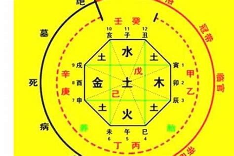 談笑八字|生辰八字算命、五行喜用神查询（免费测算）